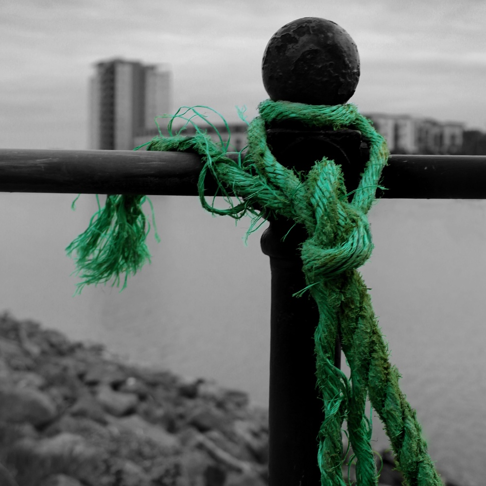 View Green rope by Jen Oldham
