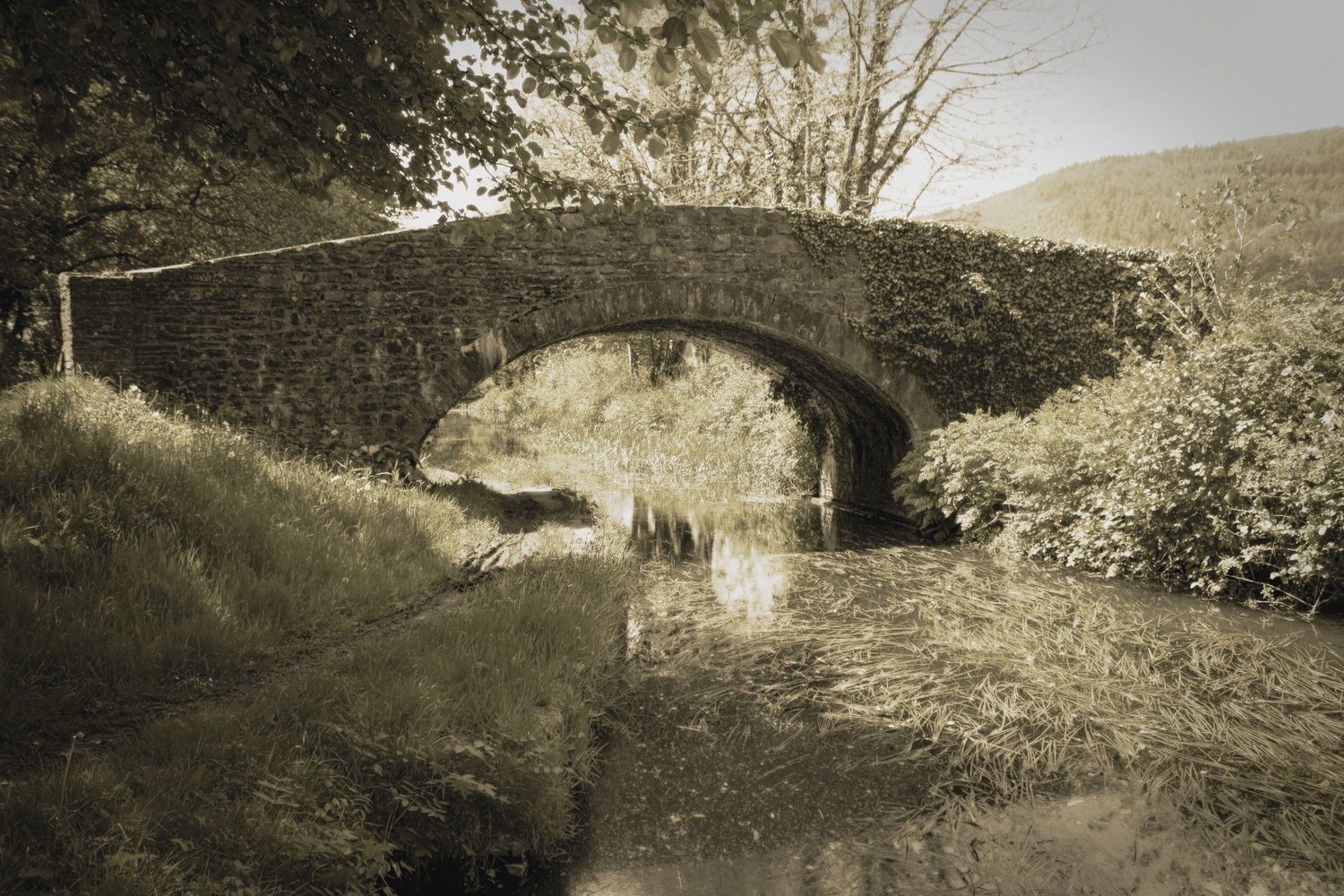View Sepia Canal Bridge by Jen Oldham