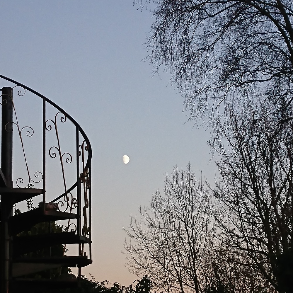 View Rising moon by Jen Oldham