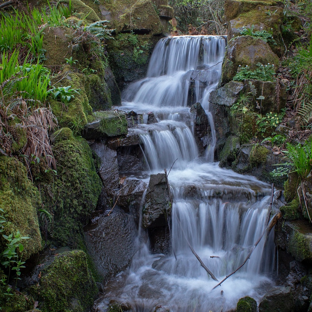 View Small waterfall by Jen Oldham