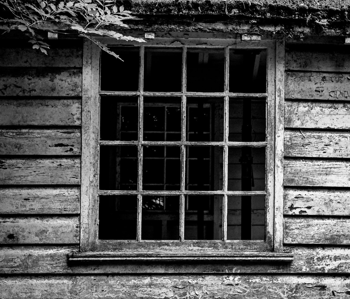 View Gone to ruin by Jen Oldham