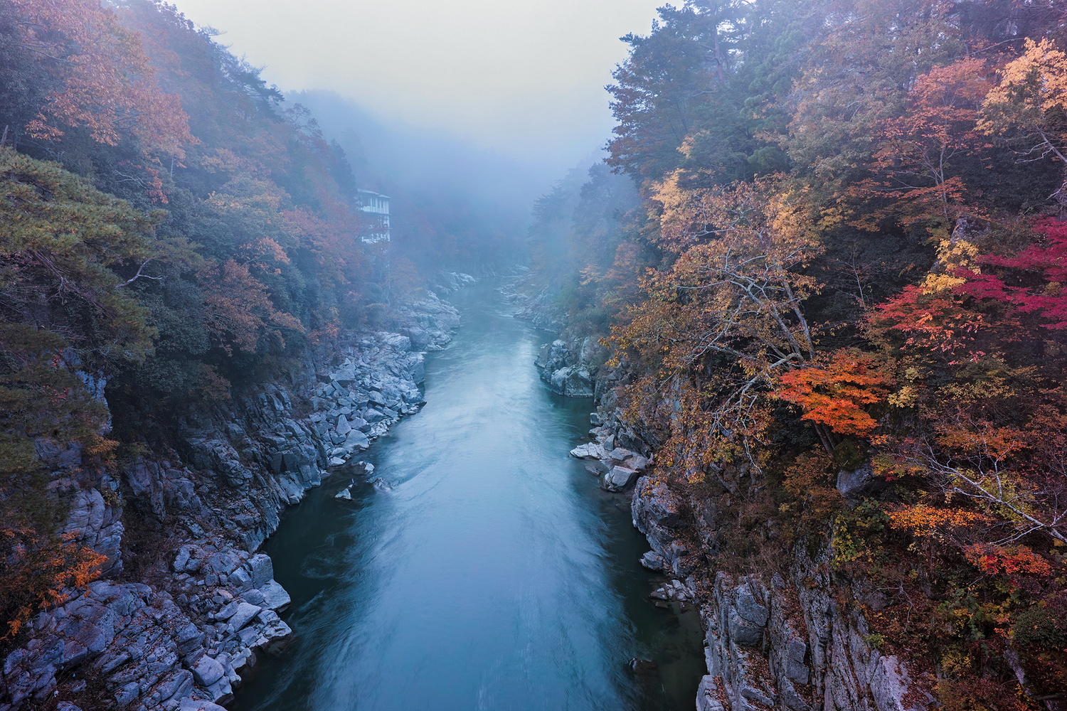 View Autumn leaves in a deep valley by Kazuya Takashima