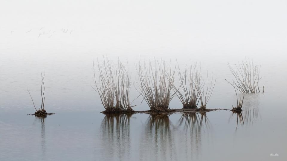View Early Spring in coastal NJ by ALAN howe