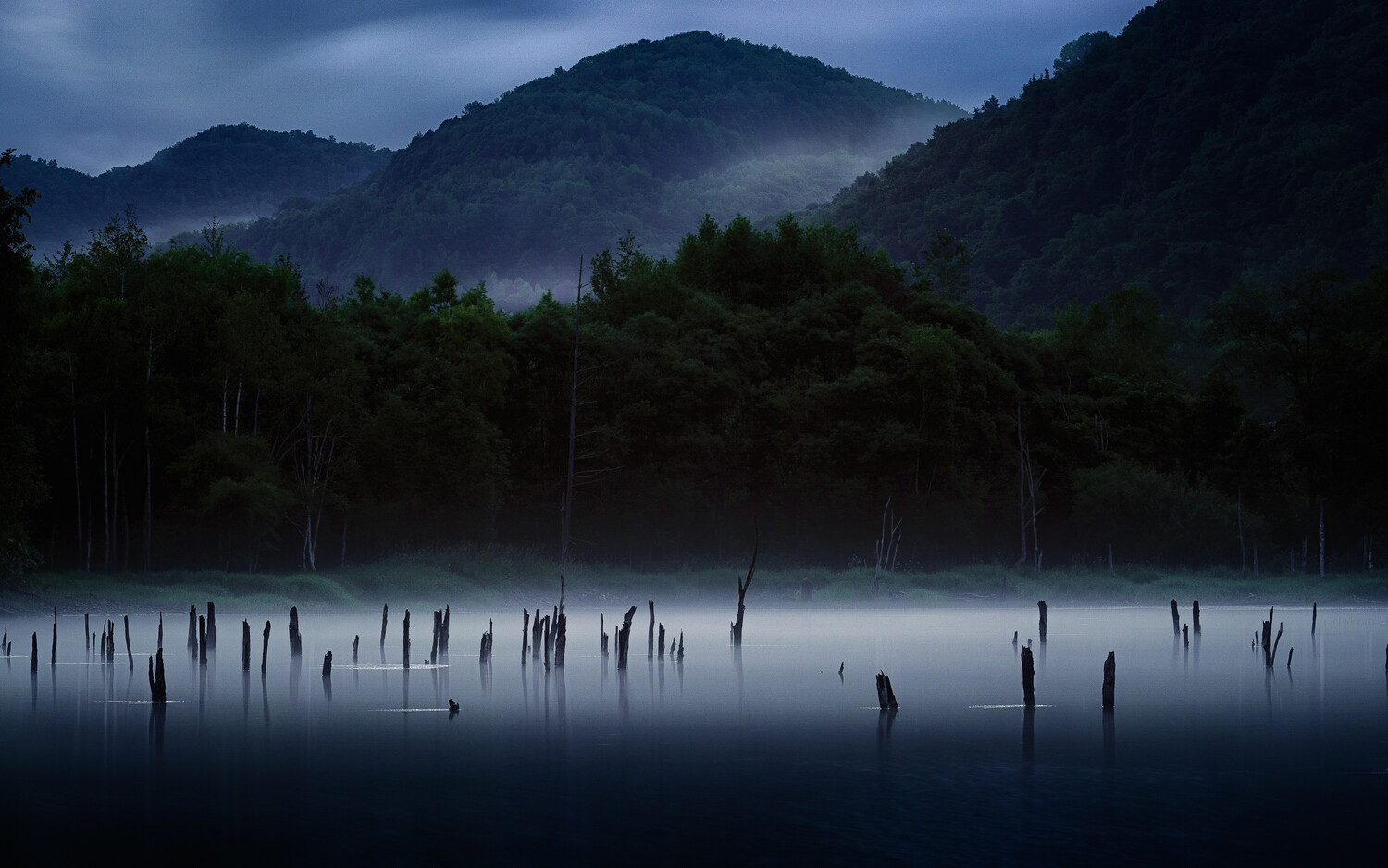 Misty lake at dawn with dead tree stumps and forested mountains in background