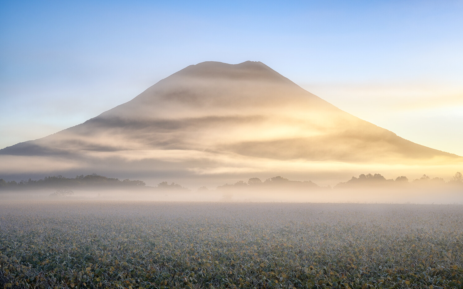 Mount Fuji rises through dense morning mist with frost-covered foreground
