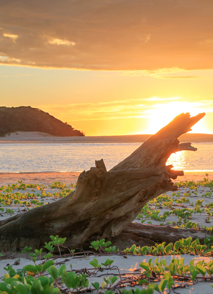 View Sunrise at the Kei River mouth, South Africa by Gareth Yearsley