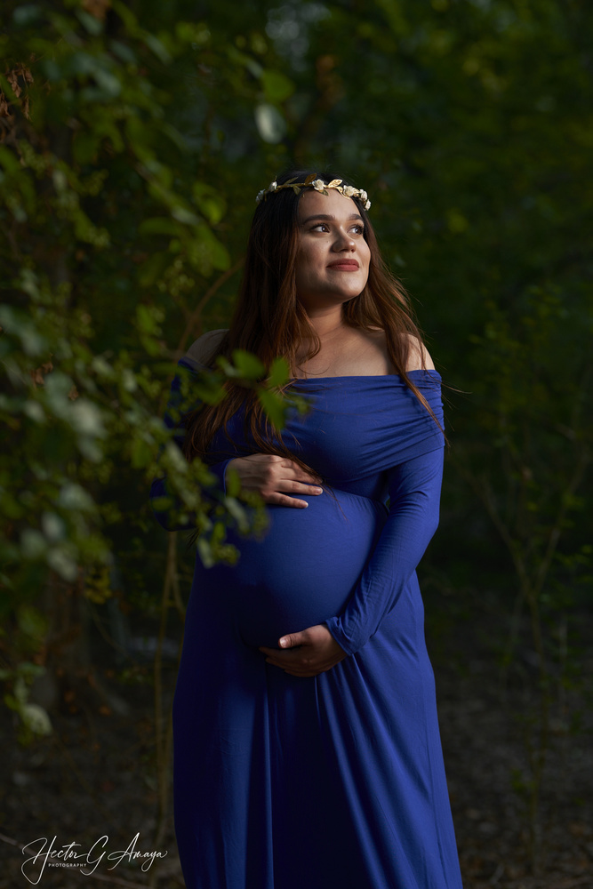 View maternity in the woods by Hector Amaya