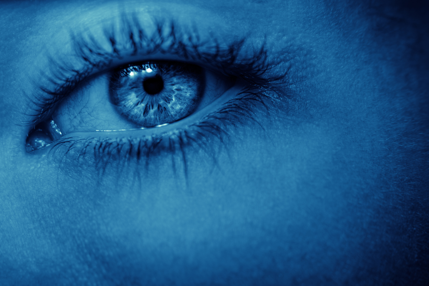 View Blue by Aidan Ryan