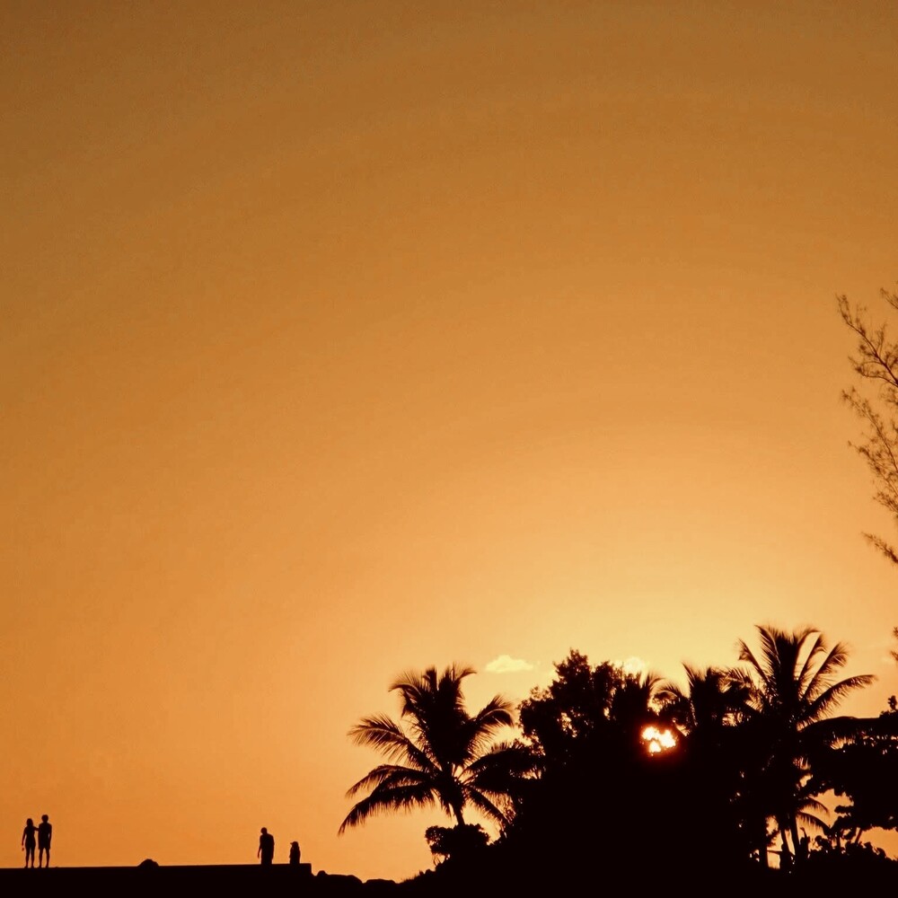 Silhouetted palm trees and figures against a golden sunset sky