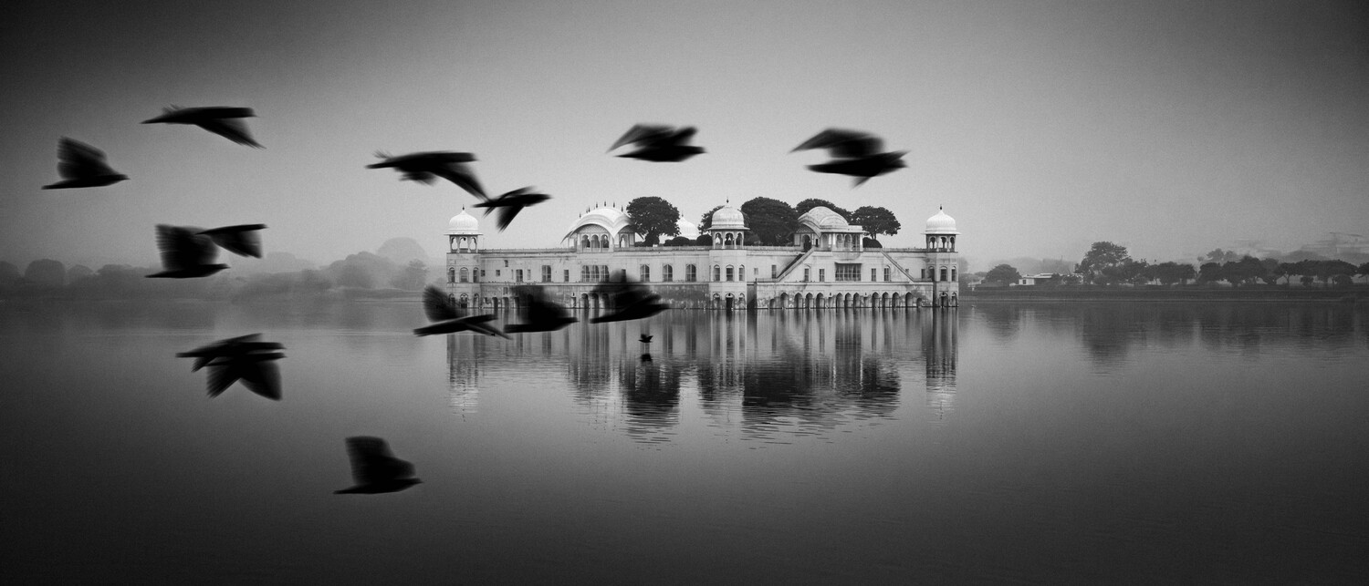 View Untitled 31 by Viren Nathan