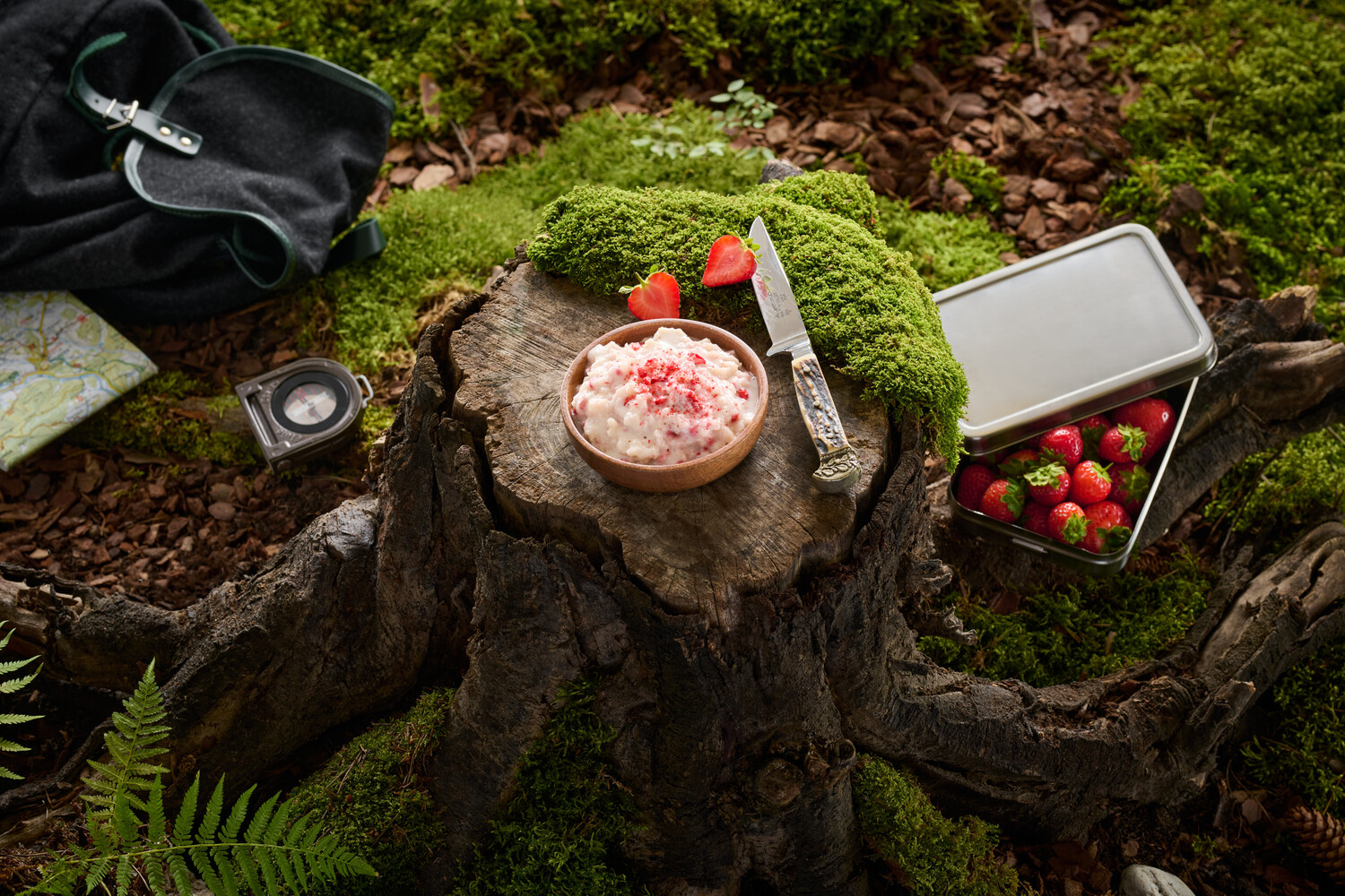 Overhead view of strawberries and whipped cream dessert arranged on a moss-covered tree stump in a forest setting