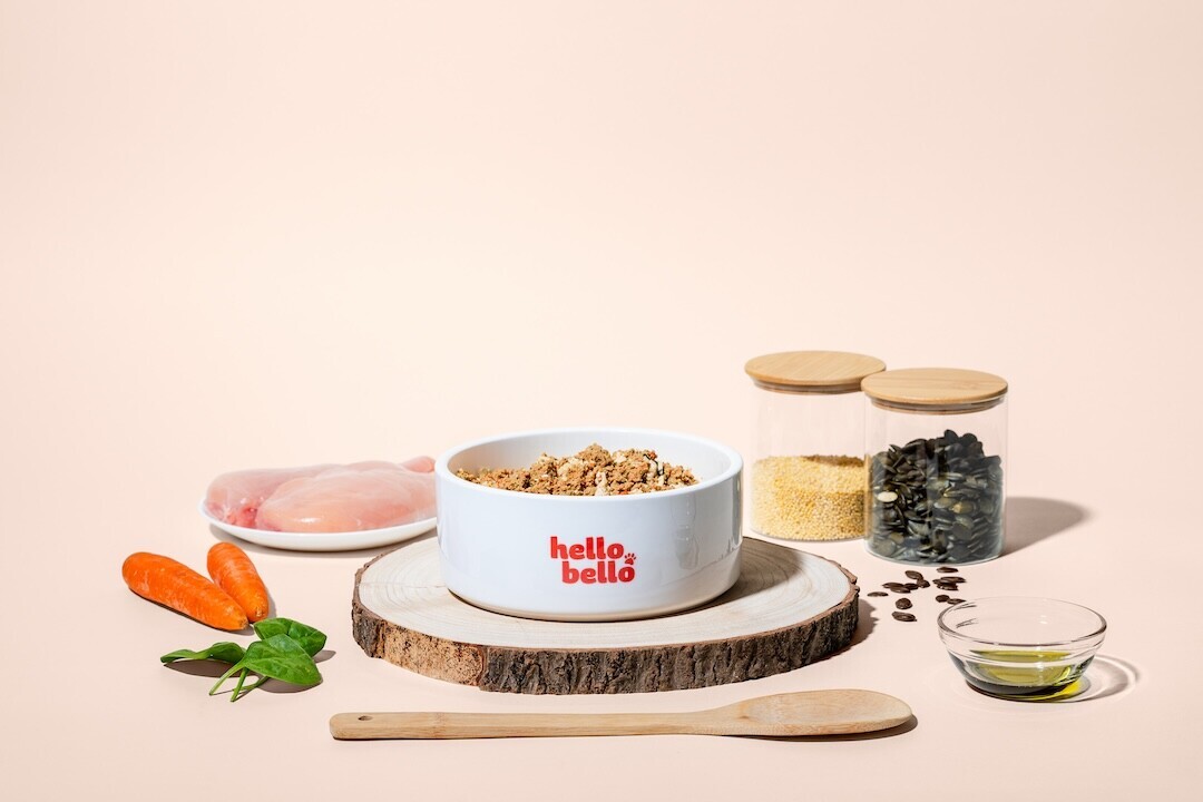 Flat lay of pet food products and accessories arranged on beige background with wood slice centerpiece