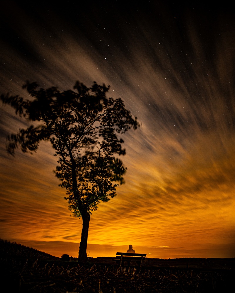 View Untitled 6 by Felix Strutzke