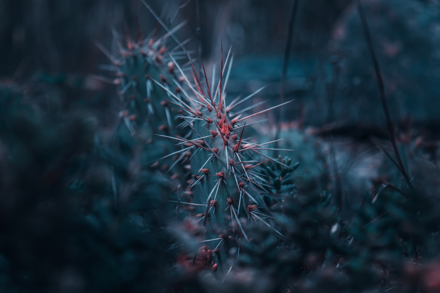 View Sharp by Vishrut Patel