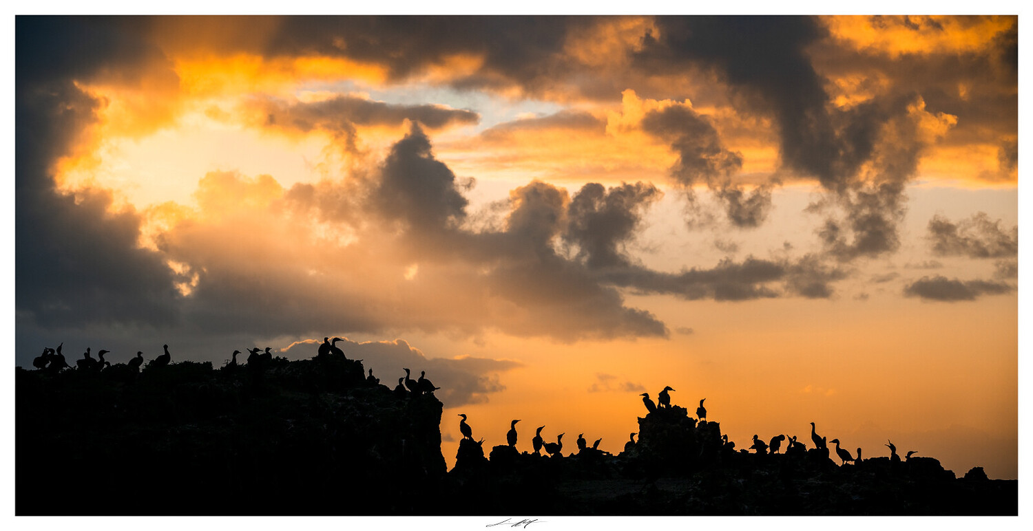Silhouetted crowd of people standing on hillside ridges against dramatic golden sunset sky with storm clouds