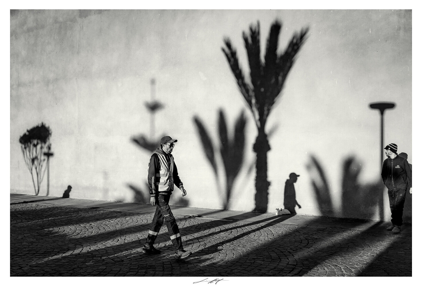 Black and white photograph of figures casting long shadows near palm trees in desert landscape