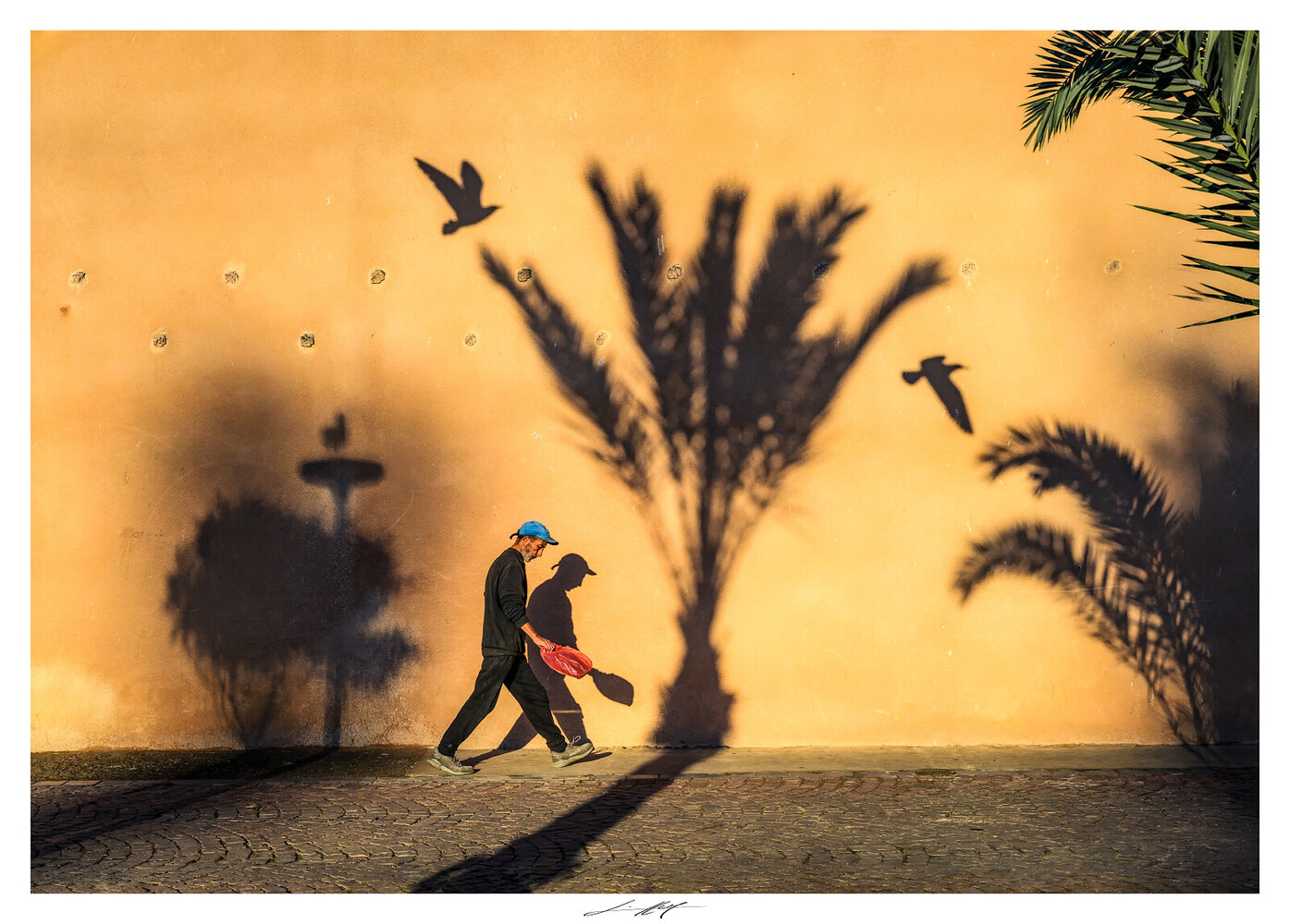 View Essaouira, Maroc 2025 by Lionel HUG