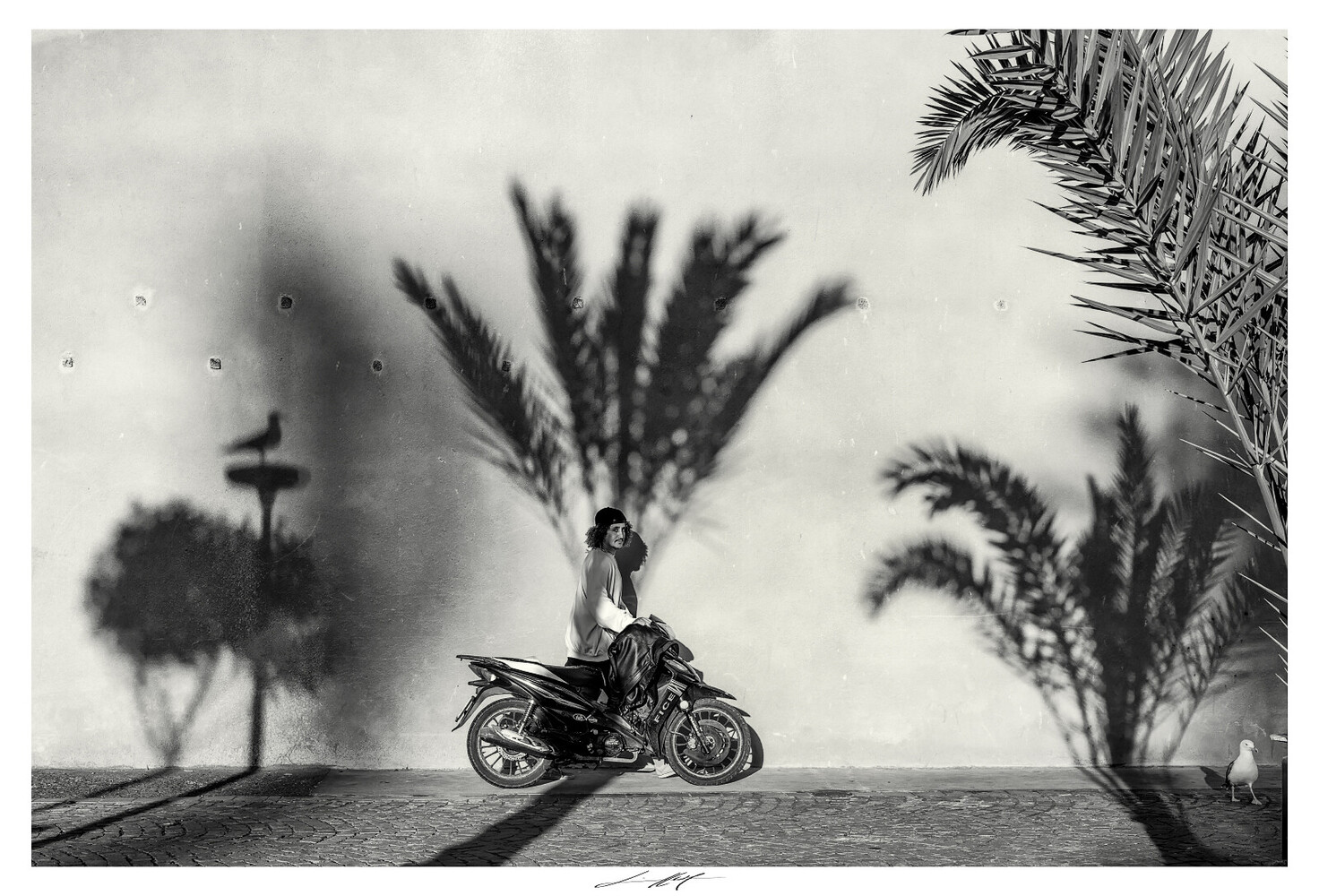 Motorcyclist on vintage bike silhouetted against dramatic palm tree shadows on desert road