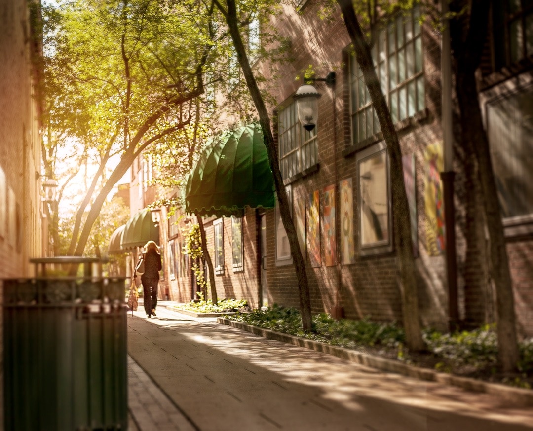 View Dappled Alley by Jennifer Huston