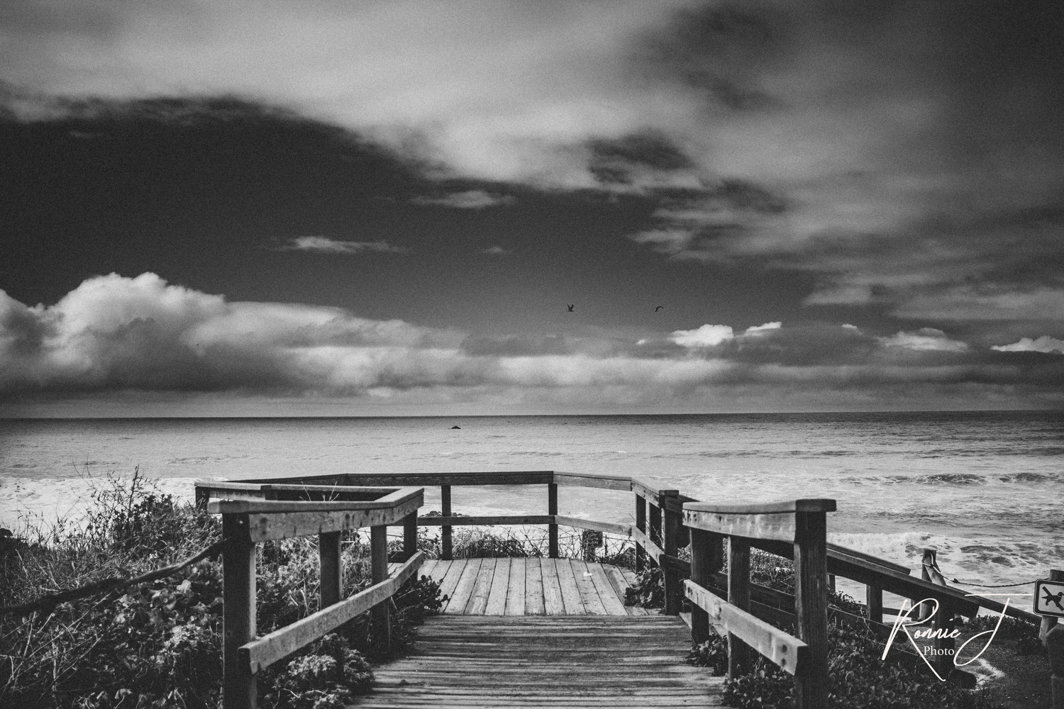 View Untitled 2 by Ron Jacobson