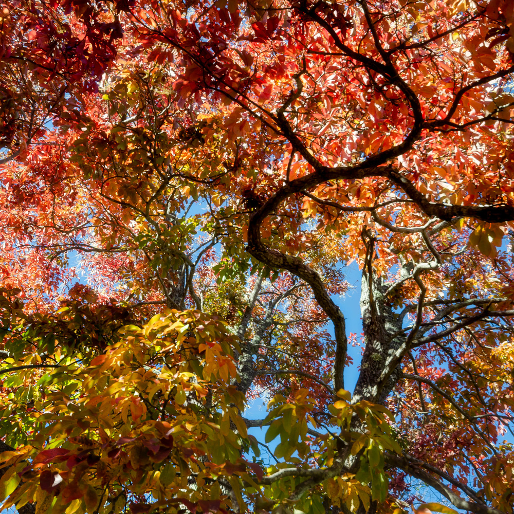 View Untitled 7 by Derek Cunningham