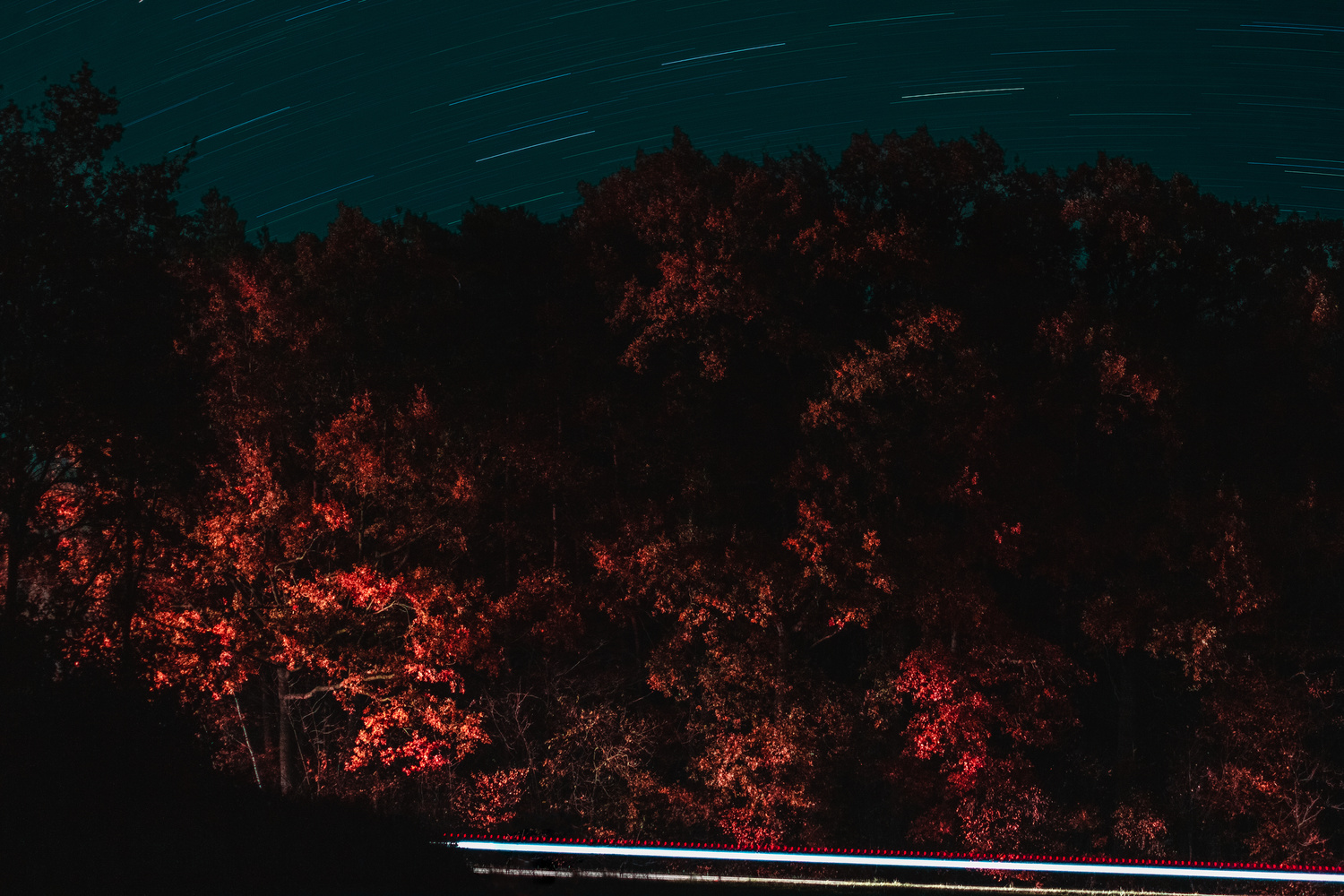 View Autumn Night by Jakob Braun
