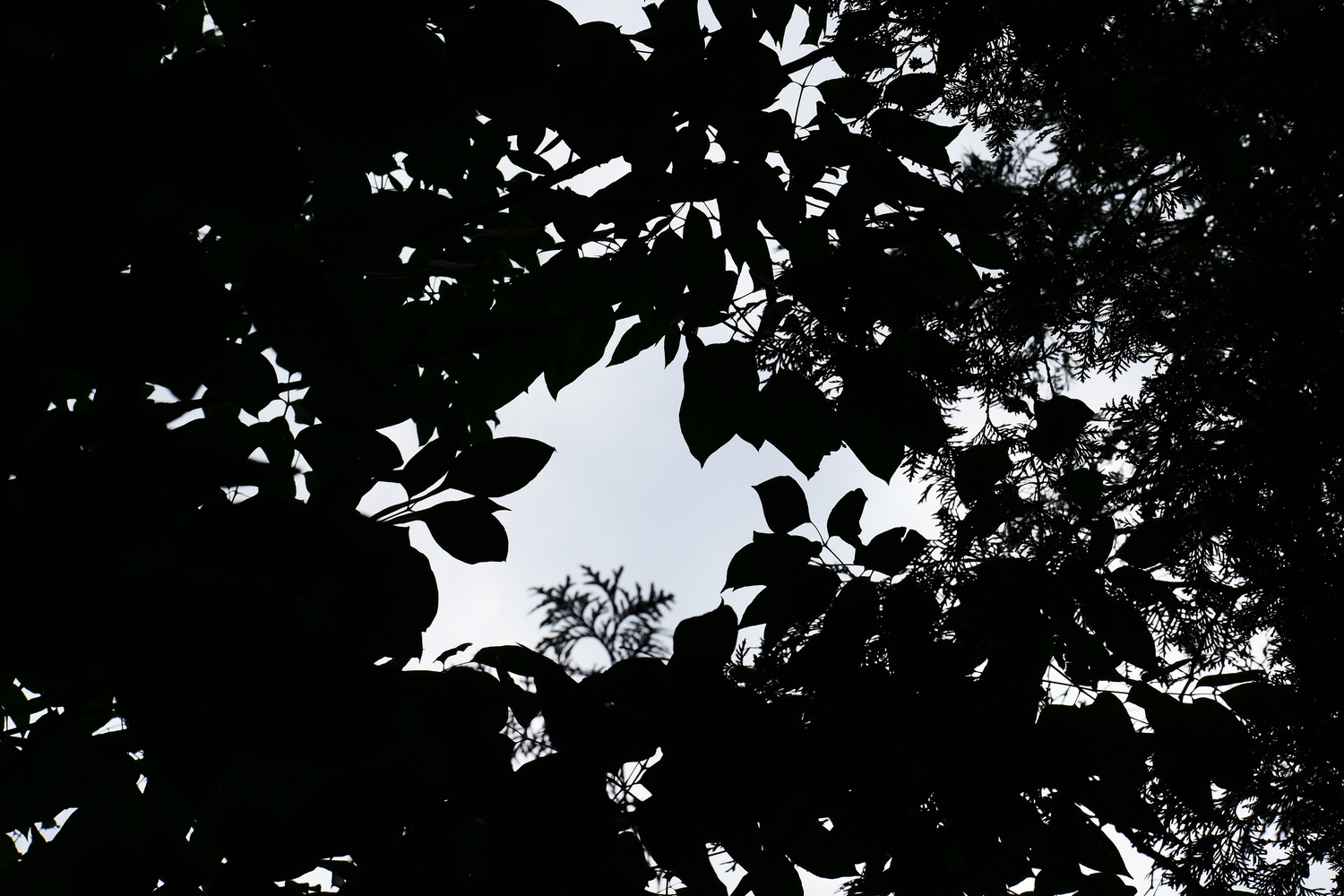View Untitled 3 by Matthew Lacy