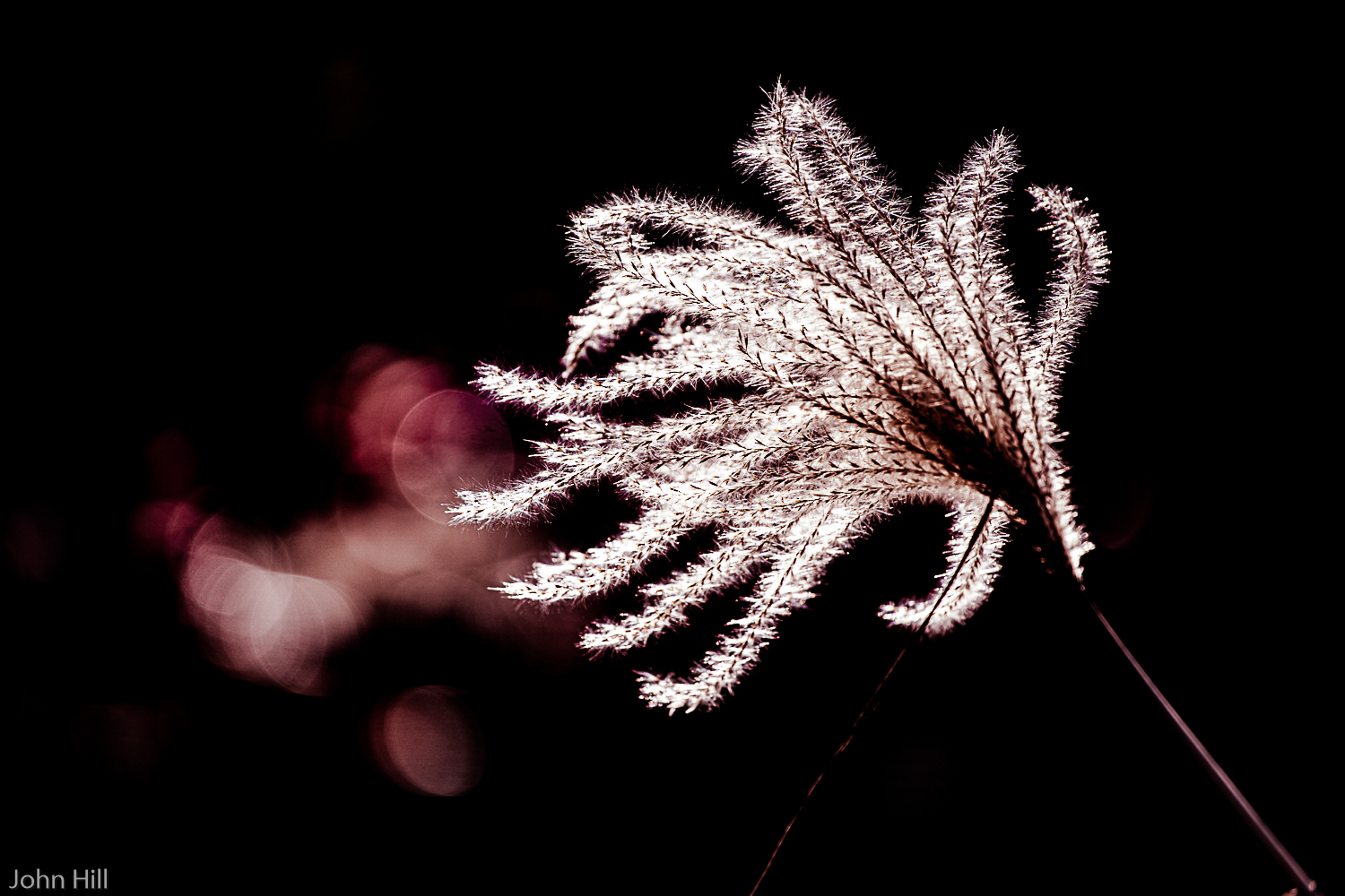 View Untitled 1 by John Hill