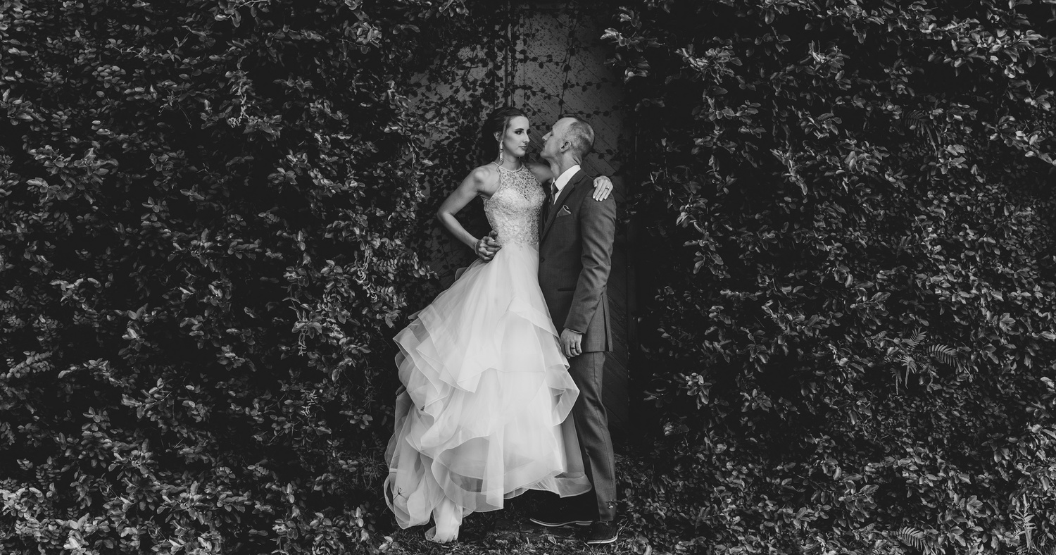 View Untitled 5 by Paul Farace