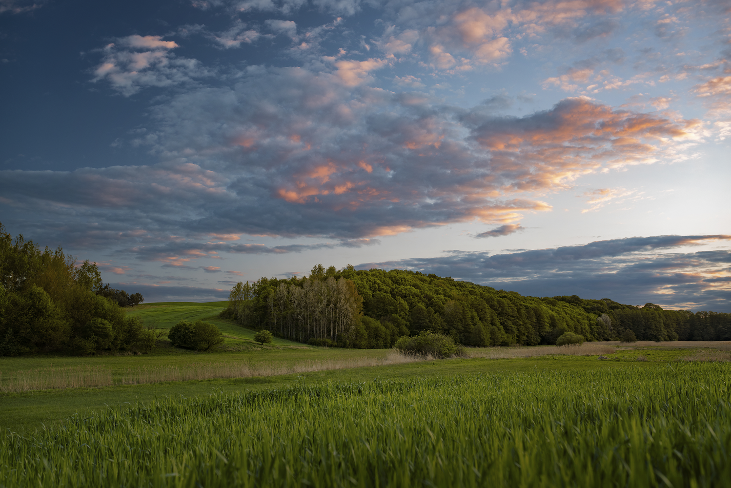 View Sunset by Rafał Nebelski