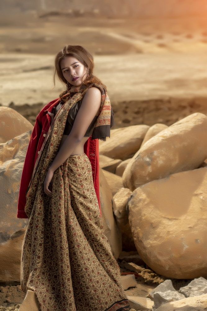 View Desert summer by Rajeev Mohan