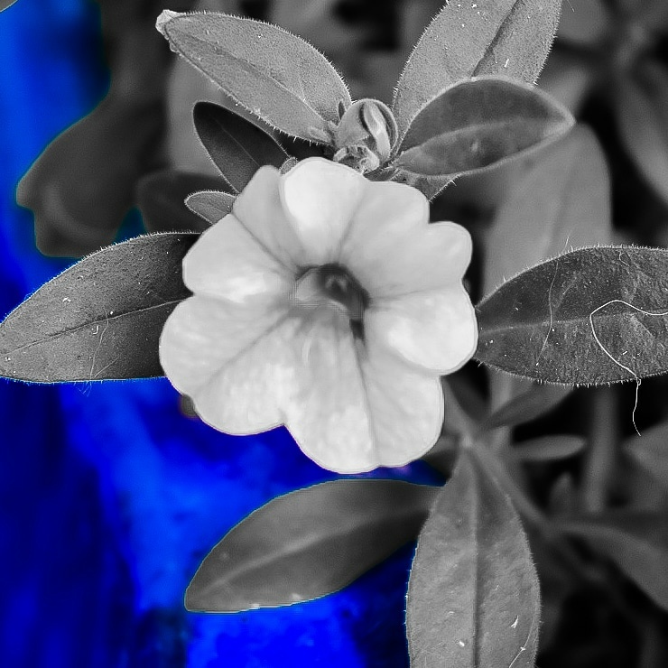 View Fun With Filters by Erin Lynch