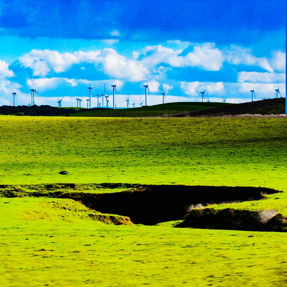 View Northern California by Erin Lynch