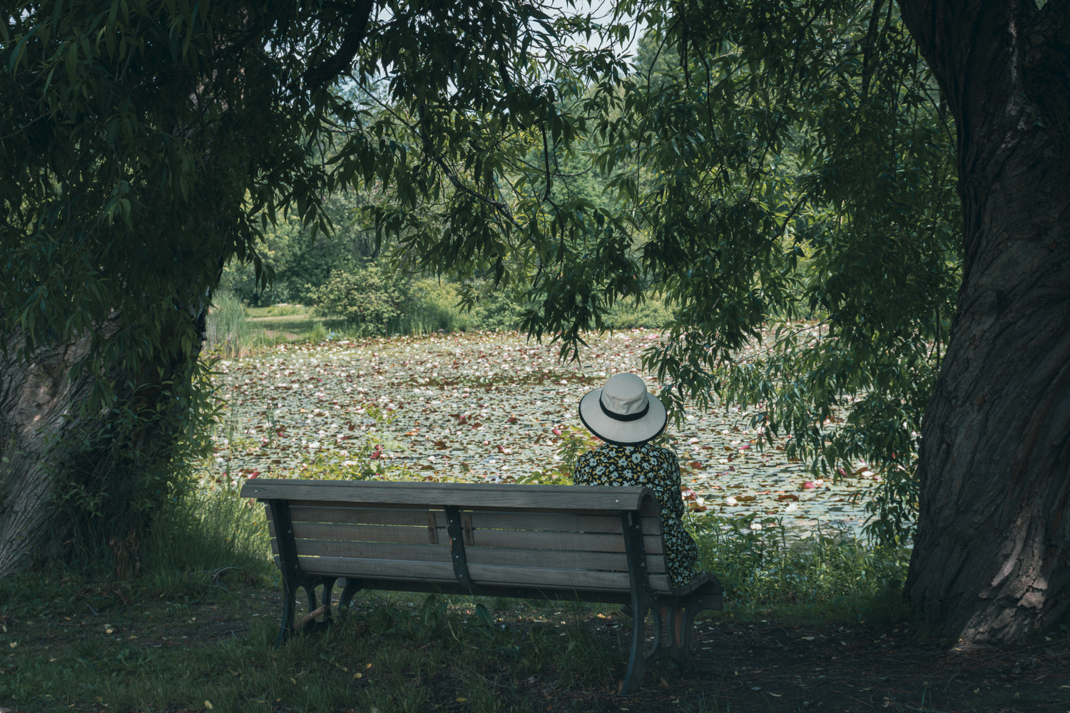 View Untitled 5 by Christopher Yerges