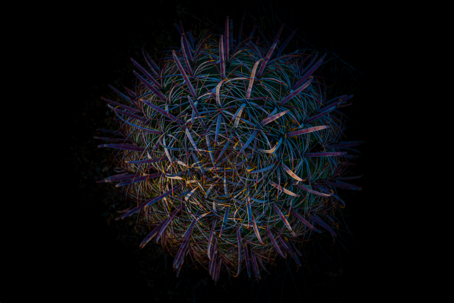 View Untitled 6 by Christopher Yerges