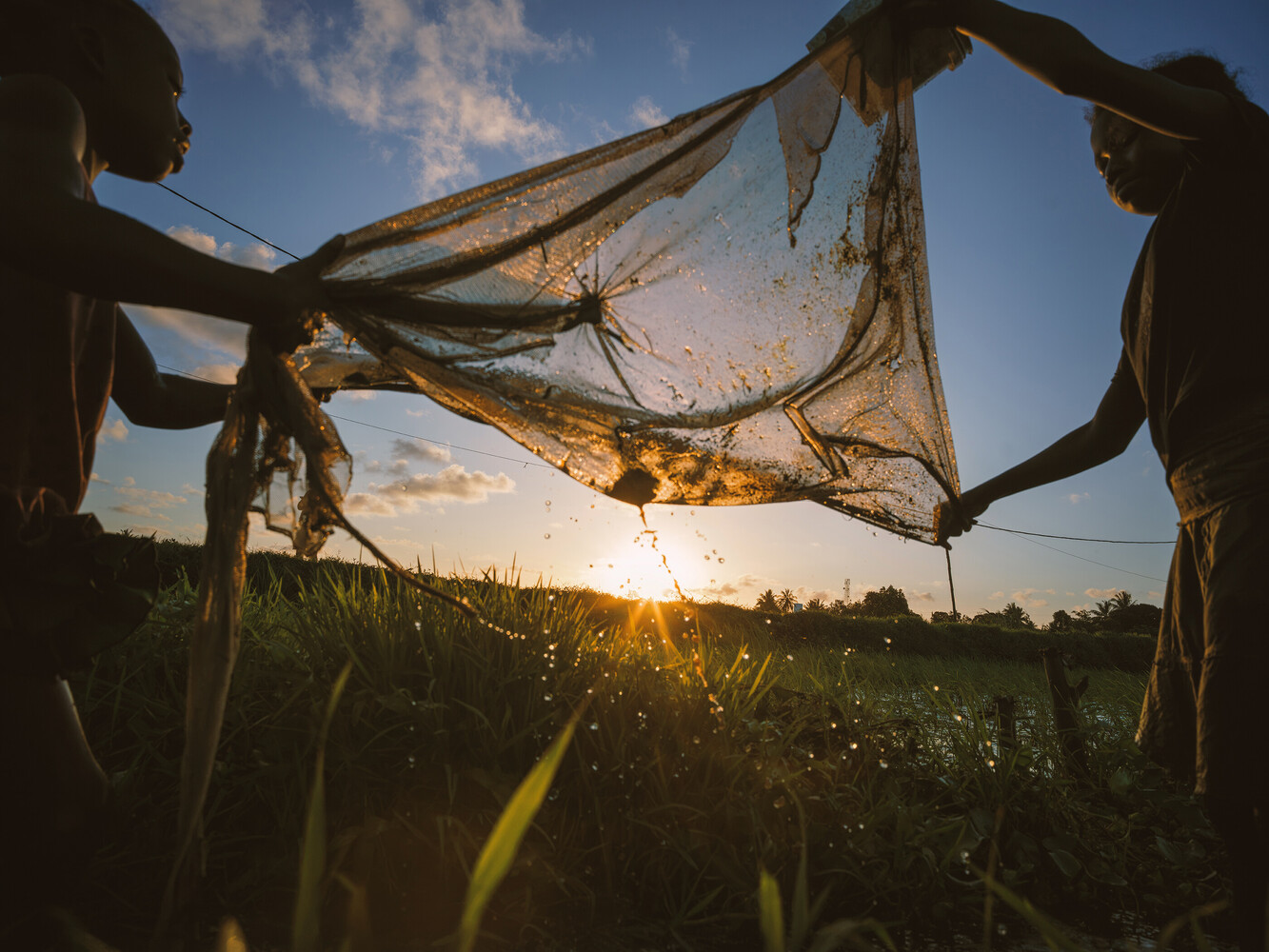 Two silhouetted people hold up a wet fishing net against a glowing sunset over a grassy field.