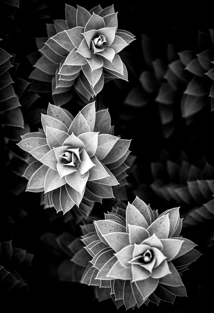 View Untitled 4 by Christopher Hendricksen