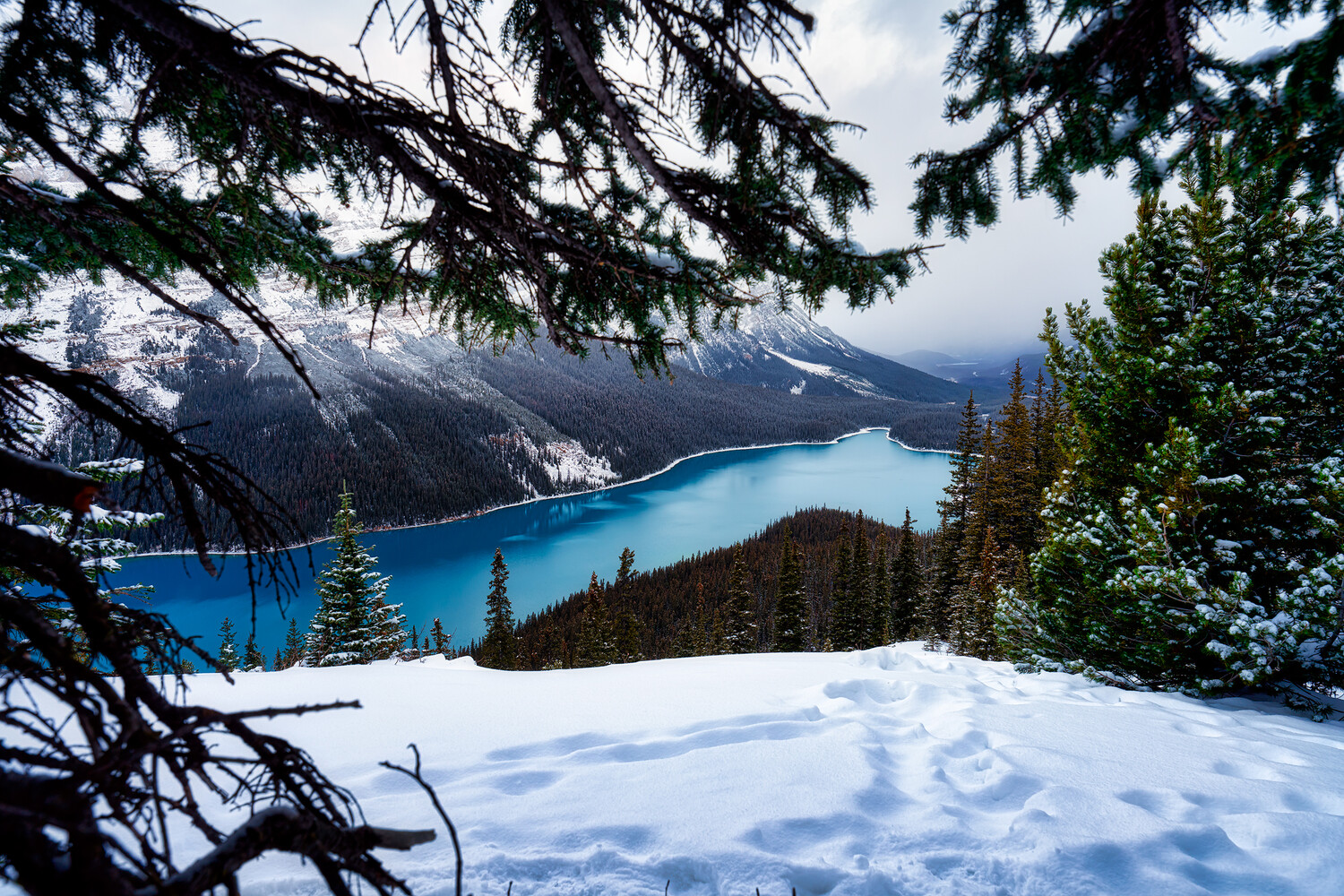 Snow-covered foreground overlooking turquoise alpine lake surrounded by forested mountains