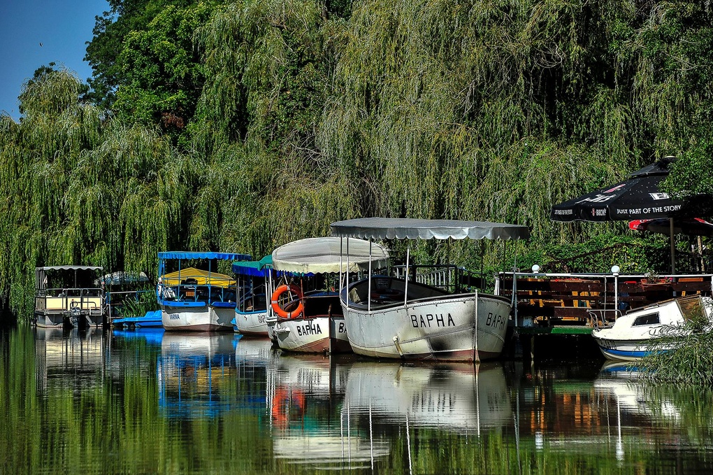 View The delta of the river Kamchia by Svetlin Nikolov
