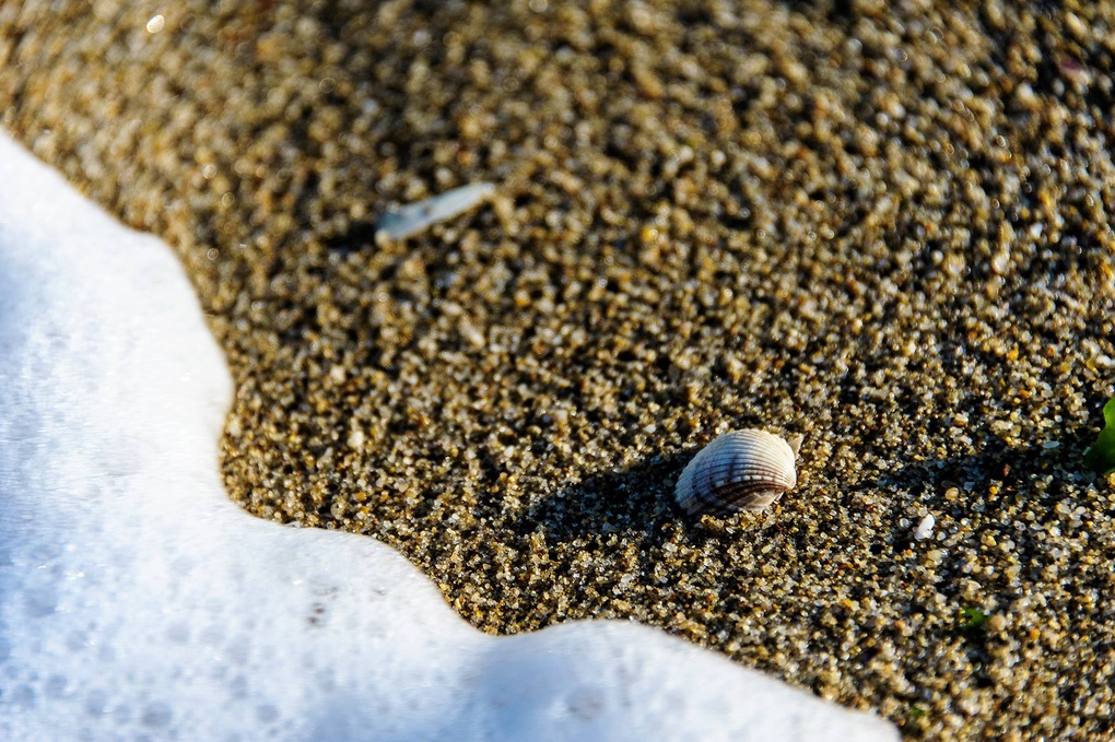 View Shell by Svetlin Nikolov