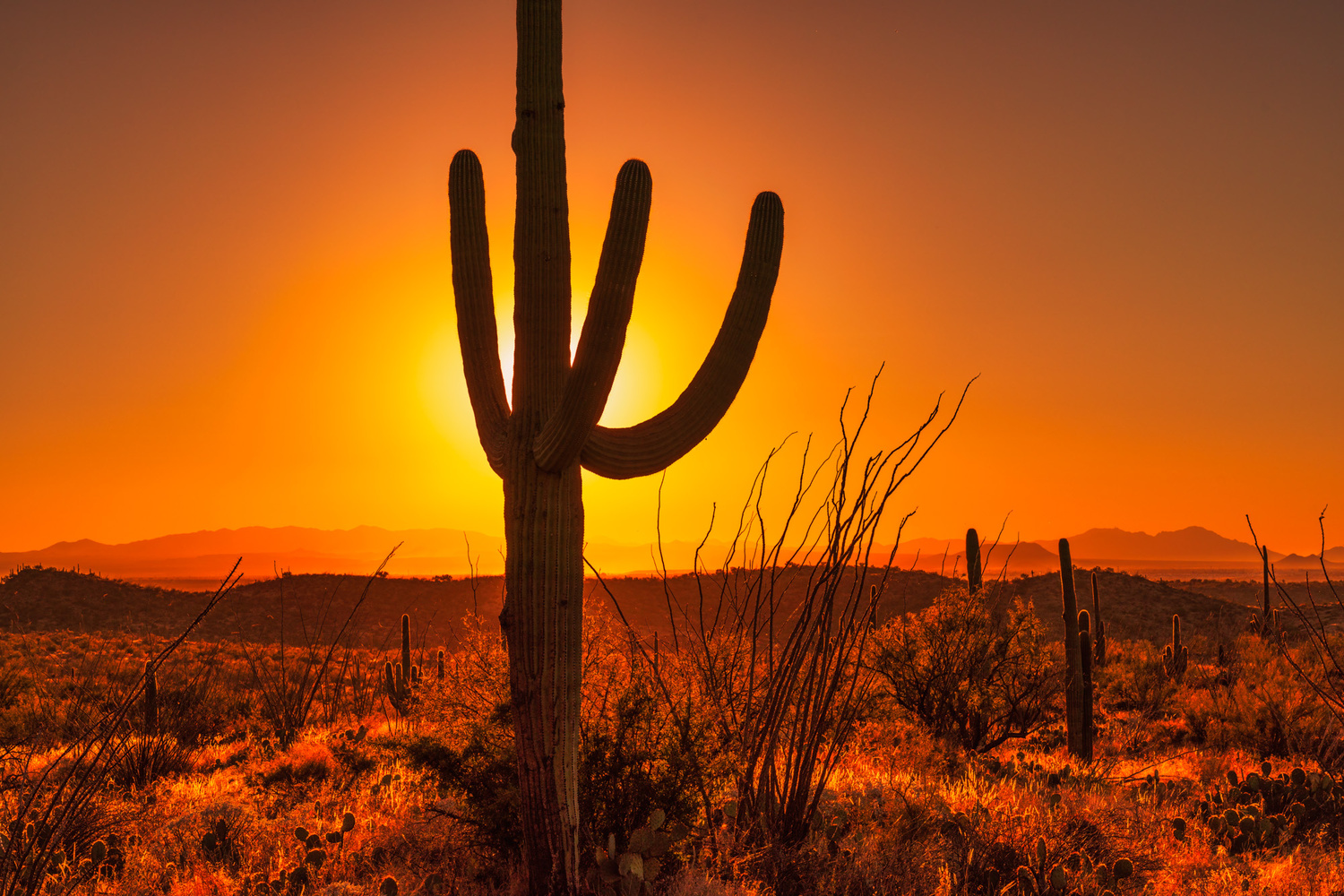 View Untitled 1 by Michael Senn