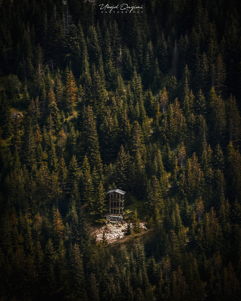View Building in the middle of the woods by Ubejd Qazimi