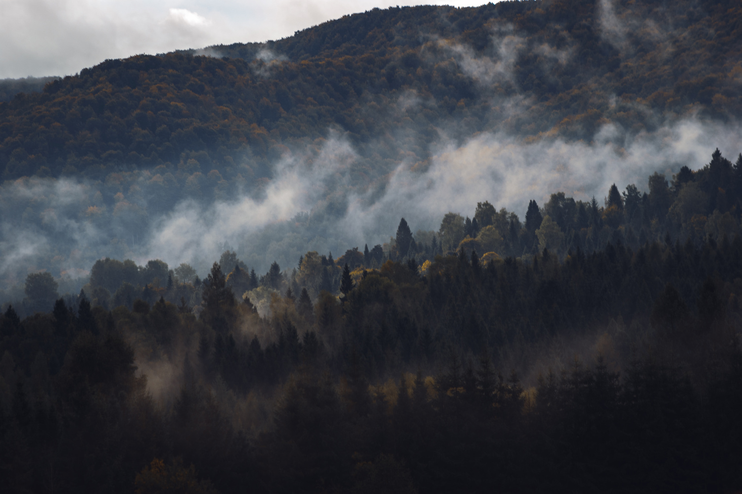 View Early autumn morning by Marek Frania