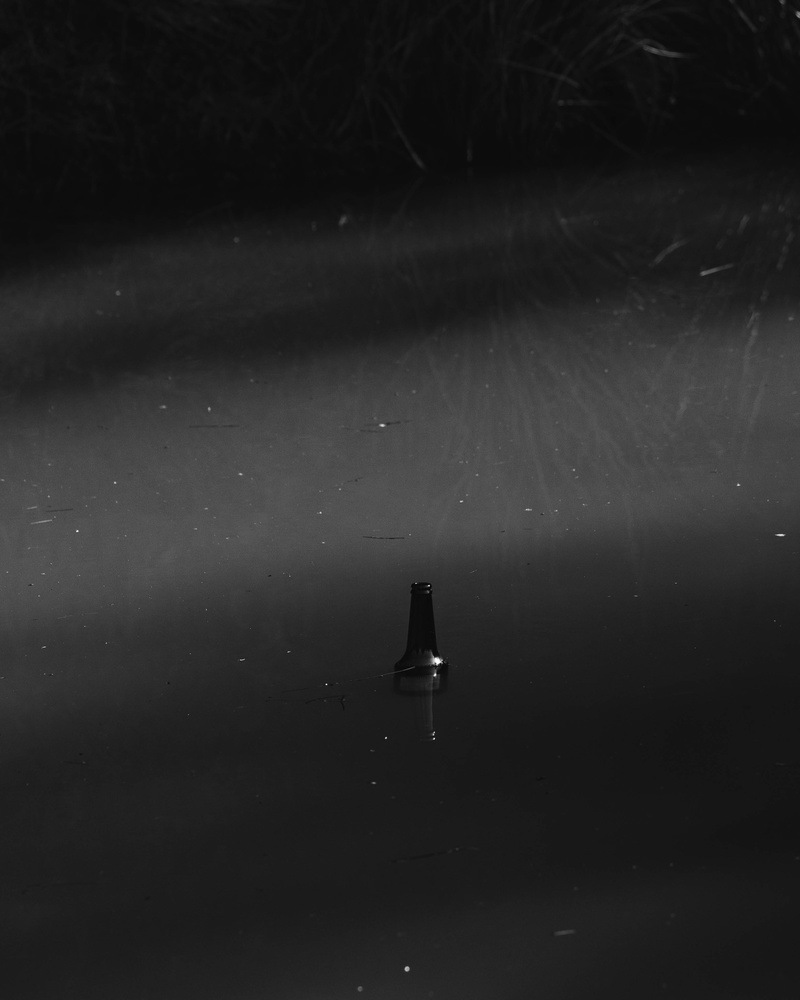 View Untitled 2 by Rhys Davies