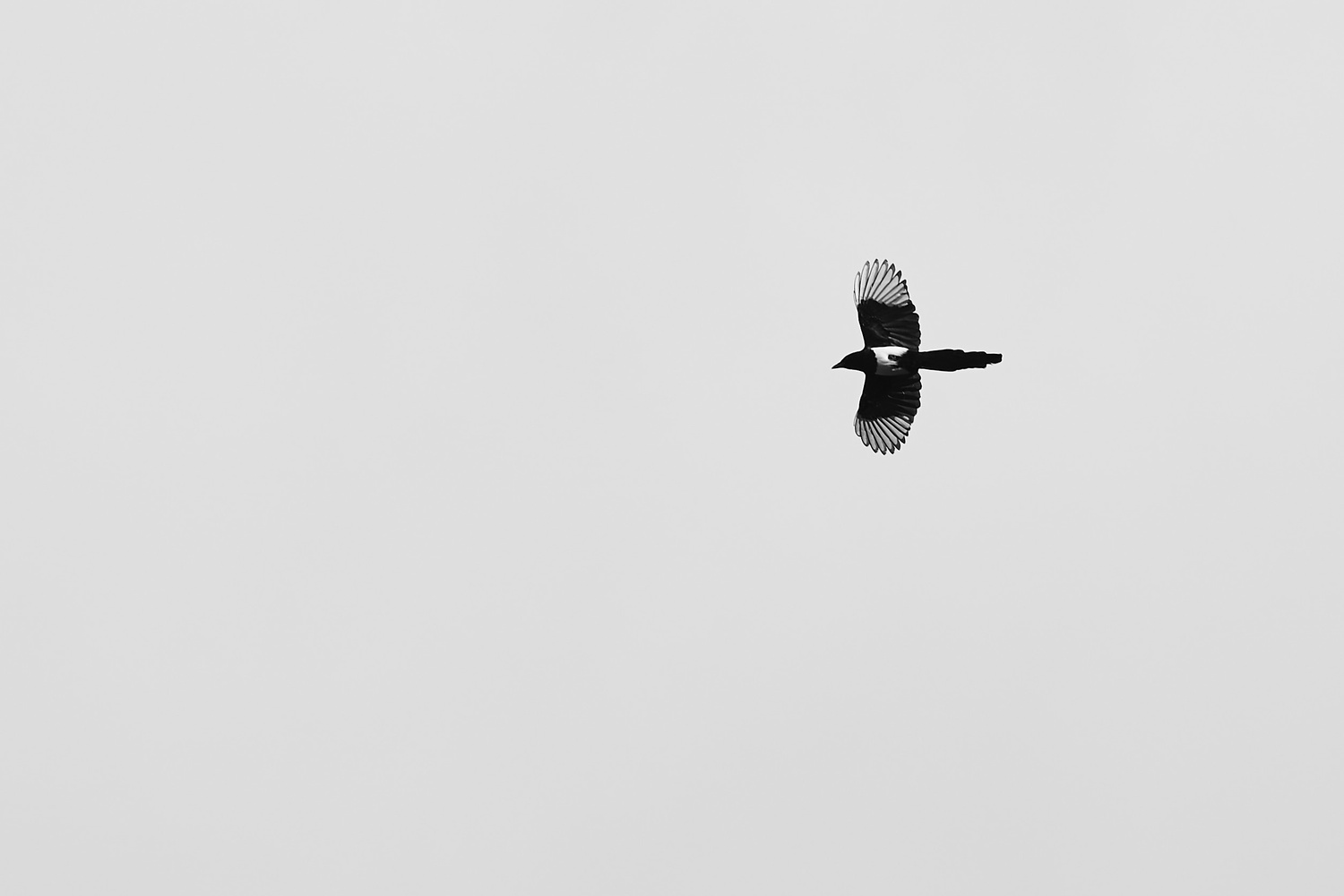 View Untitled 3 by Rhys Davies