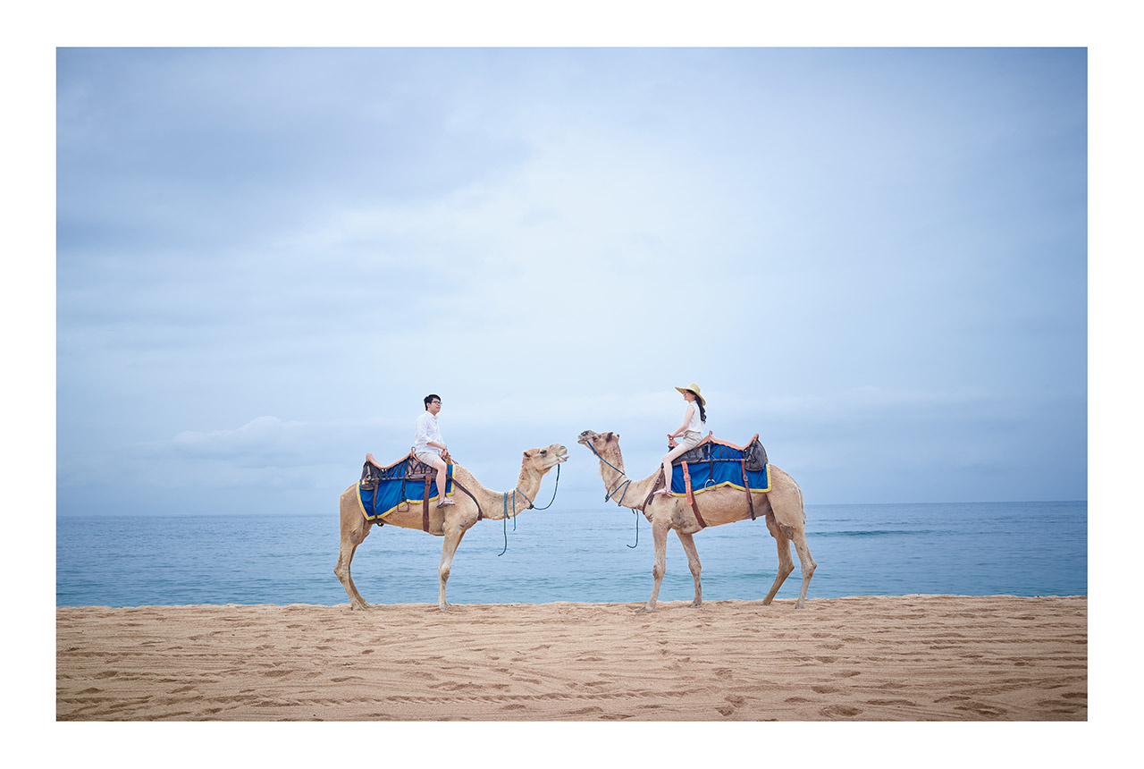 View Untitled 12 by sam lee