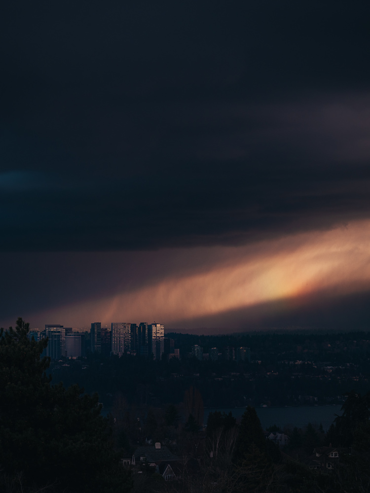 View Untitled 8 by Tripp Page
