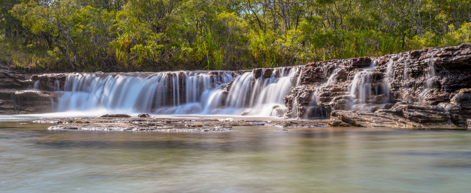 View Fruitbat Fall by Jonathan O'Mullane