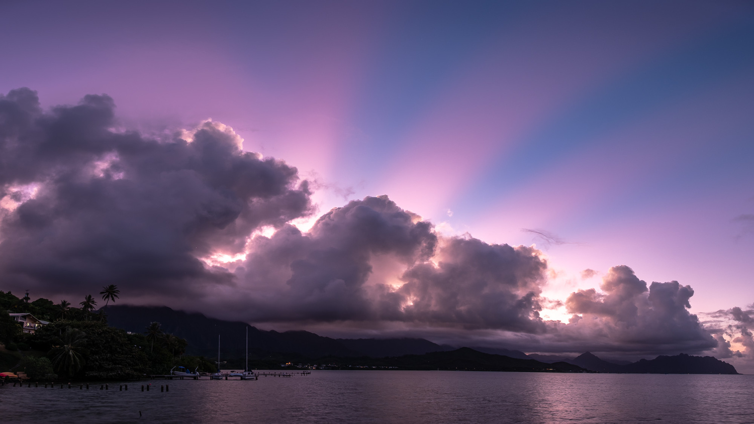View Untitled 2 by Chris Suchocki