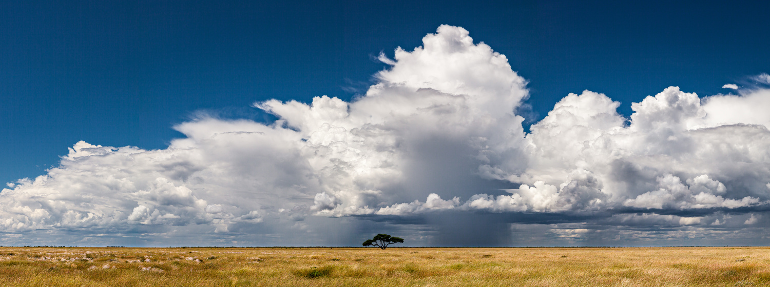 View Untitled 3 by Philippe Clairo